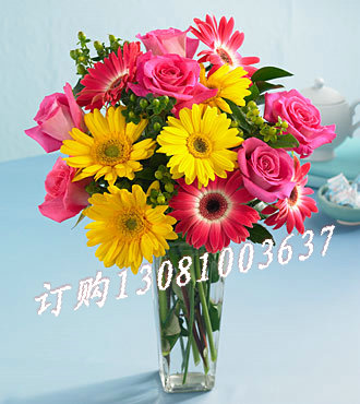 商品详细;6枝桃红玫瑰+8枝红黄太阳花+相思豆点缀-花瓶插花