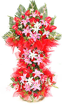Ʒϸ;۽ƣɫˮٺ4䣬ɫˮٺϣõ壬ɢβݺֽҵ1-ϻ 廨
