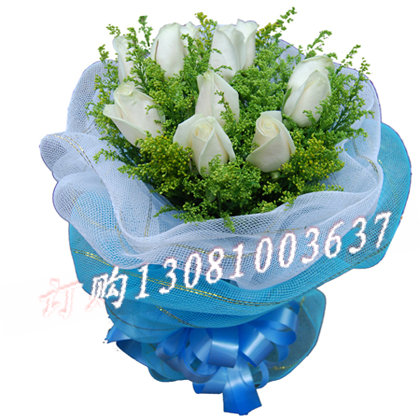 商品详细;11枝白玫瑰，黄莺间插，白色纱网内衬，天蓝色纱网外圆形包装。（-天蓝色纱网外圆形包装