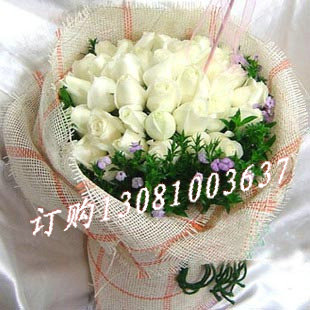 商品详细;33枝精品白玫瑰，石竹梅围边-浅色国产人造麻片圆形精美花束