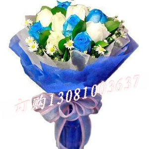 商品详细;白玫瑰6枝，蓝玫瑰5枝，绿叶，碎菊点缀-白色蓝色棉纸精美圆形包装，双色丝带打结。玻璃花瓶陪衬。