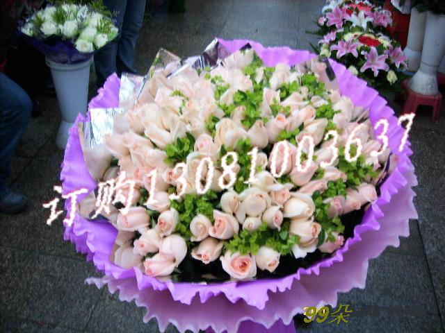 Ʒϸ;99֧õҶϻƽ-Բΰװ