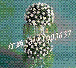 Ʒϸ;׾ջŶϡ-廨