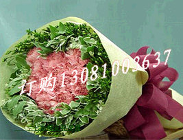 Ʒϸ;22֧ɫܰҶΧ.-ֽԲΰװ