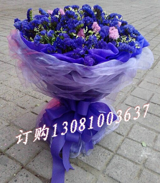 Ʒϸ;29֧ɫң ɫɴԲΰװ-.